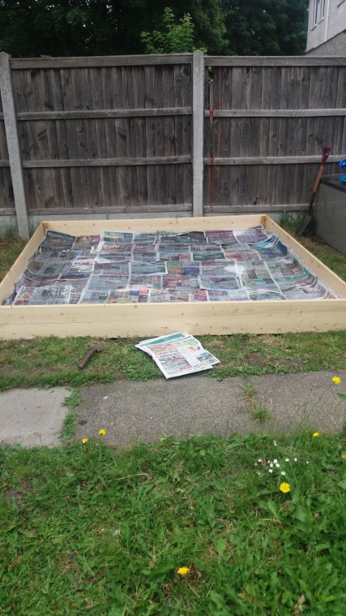 How to Build a Raised Vegetable Bed- newspaper