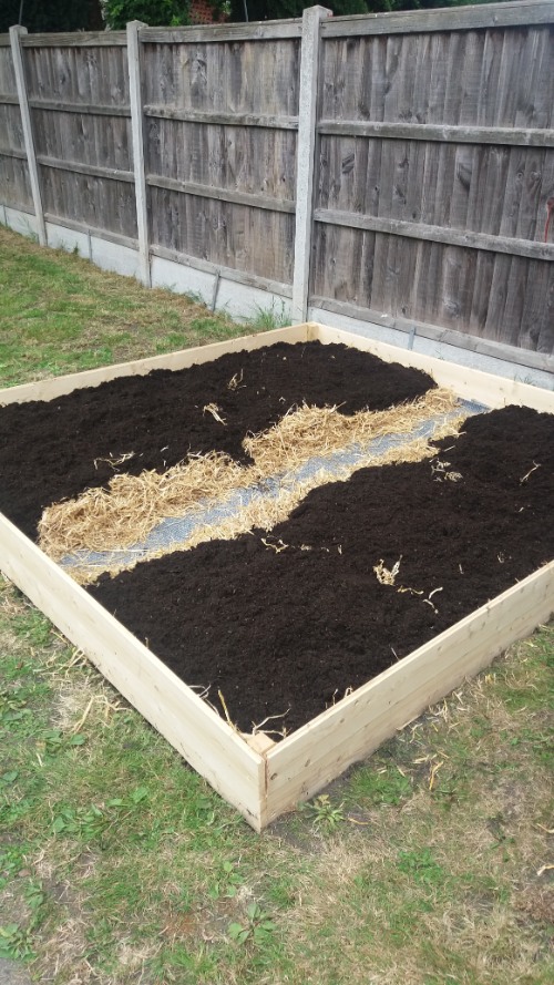 How to Build a Raised Vegetable Bed- add compost