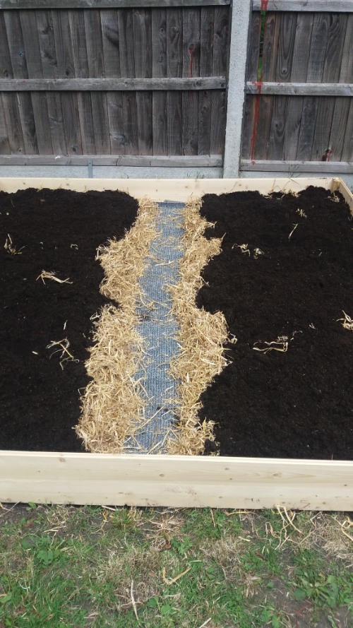 How to Build a Raised Vegetable Bed add compost