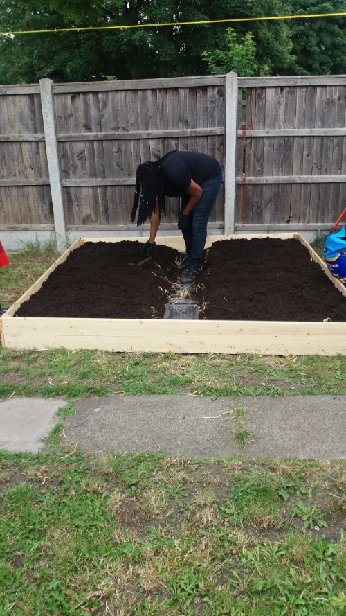 How to Build a Raised Vegetable Bed- add soil and seeds